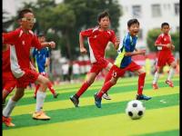 济州SKvs仁川联队直播_济州SKvs仁川联队免费高清直播_光州FCvs济州SK FC比赛全场观看