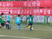 武汉三镇VS上海海港直播_武汉三镇VS上海海港直播在线观看_武汉三镇VS上海海港直播免费观看高清直播